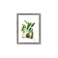 Picture of House Plants I  _GroupedProduct_Rectangle_Portrait_Framed_Matted_