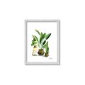 Picture of House Plants I  _GroupedProduct_Rectangle_Portrait_Framed_Matted_