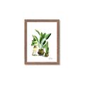 Picture of House Plants I  _GroupedProduct_Rectangle_Portrait_Framed_Matted_