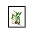 Picture of House Plants I  _GroupedProduct_Rectangle_Portrait_Framed_Matted_