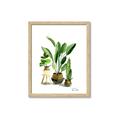 Picture of House Plants I  _GroupedProduct_Rectangle_Portrait_Framed_Matted_
