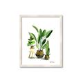 Picture of House Plants I  _GroupedProduct_Rectangle_Portrait_Framed_Matted_