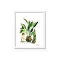 Picture of House Plants I  _GroupedProduct_Rectangle_Portrait_Framed_Matted_