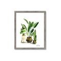 Picture of House Plants I  _GroupedProduct_Rectangle_Portrait_Framed_Matted_