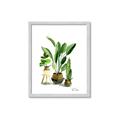 Picture of House Plants I  _GroupedProduct_Rectangle_Portrait_Framed_Matted_