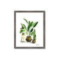 Picture of House Plants I  _GroupedProduct_Rectangle_Portrait_Framed_Matted_