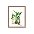 Picture of House Plants I  _GroupedProduct_Rectangle_Portrait_Framed_Matted_