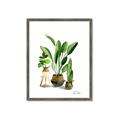 Picture of House Plants I  _GroupedProduct_Rectangle_Portrait_Framed_Matted_
