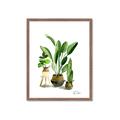 Picture of House Plants I  _GroupedProduct_Rectangle_Portrait_Framed_Matted_