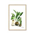 Picture of House Plants I  _GroupedProduct_Rectangle_Portrait_Framed_Matted_