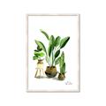 Picture of House Plants I  _GroupedProduct_Rectangle_Portrait_Framed_Matted_
