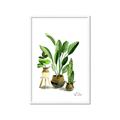 Picture of House Plants I  _GroupedProduct_Rectangle_Portrait_Framed_Matted_