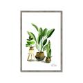 Picture of House Plants I  _GroupedProduct_Rectangle_Portrait_Framed_Matted_