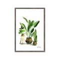 Picture of House Plants I  _GroupedProduct_Rectangle_Portrait_Framed_Matted_