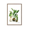 Picture of House Plants I  _GroupedProduct_Rectangle_Portrait_Framed_Matted_