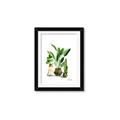 Picture of House Plants I  _GroupedProduct_Rectangle_Portrait_Framed_Matted_