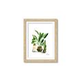 Picture of House Plants I  _GroupedProduct_Rectangle_Portrait_Framed_Matted_