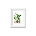 Picture of House Plants I  _GroupedProduct_Rectangle_Portrait_Framed_Matted_