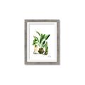 Picture of House Plants I  _GroupedProduct_Rectangle_Portrait_Framed_Matted_