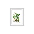 Picture of House Plants I  _GroupedProduct_Rectangle_Portrait_Framed_Matted_