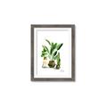 Picture of House Plants I  _GroupedProduct_Rectangle_Portrait_Framed_Matted_