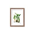 Picture of House Plants I  _GroupedProduct_Rectangle_Portrait_Framed_Matted_