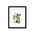 Picture of House Plants I  _GroupedProduct_Rectangle_Portrait_Framed_Matted_