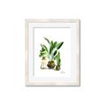 Picture of House Plants I  _GroupedProduct_Rectangle_Portrait_Framed_Matted_