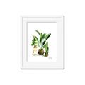 Picture of House Plants I  _GroupedProduct_Rectangle_Portrait_Framed_Matted_