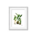 Picture of House Plants I  _GroupedProduct_Rectangle_Portrait_Framed_Matted_