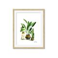 Picture of House Plants I  _GroupedProduct_Rectangle_Portrait_Framed_Matted_