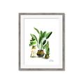 Picture of House Plants I  _GroupedProduct_Rectangle_Portrait_Framed_Matted_