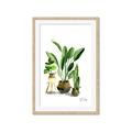 Picture of House Plants I  _GroupedProduct_Rectangle_Portrait_Framed_Matted_