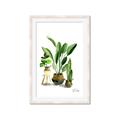 Picture of House Plants I  _GroupedProduct_Rectangle_Portrait_Framed_Matted_