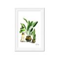 Picture of House Plants I  _GroupedProduct_Rectangle_Portrait_Framed_Matted_
