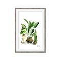 Picture of House Plants I  _GroupedProduct_Rectangle_Portrait_Framed_Matted_