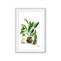 Picture of House Plants I  _GroupedProduct_Rectangle_Portrait_Framed_Matted_