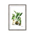 Picture of House Plants I  _GroupedProduct_Rectangle_Portrait_Framed_Matted_