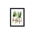 Picture of House Plants II  _GroupedProduct_Rectangle_Portrait_Framed_Matted_