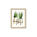 Picture of House Plants II  _GroupedProduct_Rectangle_Portrait_Framed_Matted_