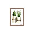 Picture of House Plants II  _GroupedProduct_Rectangle_Portrait_Framed_Matted_