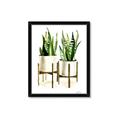 Picture of House Plants II  _GroupedProduct_Rectangle_Portrait_Framed_Matted_