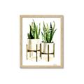 Picture of House Plants II  _GroupedProduct_Rectangle_Portrait_Framed_Matted_