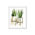 Picture of House Plants II  _GroupedProduct_Rectangle_Portrait_Framed_Matted_