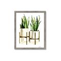 Picture of House Plants II  _GroupedProduct_Rectangle_Portrait_Framed_Matted_