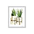 Picture of House Plants II  _GroupedProduct_Rectangle_Portrait_Framed_Matted_