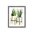 Picture of House Plants II  _GroupedProduct_Rectangle_Portrait_Framed_Matted_