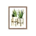 Picture of House Plants II  _GroupedProduct_Rectangle_Portrait_Framed_Matted_