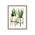 Picture of House Plants II  _GroupedProduct_Rectangle_Portrait_Framed_Matted_