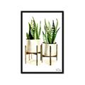 Picture of House Plants II  _GroupedProduct_Rectangle_Portrait_Framed_Matted_